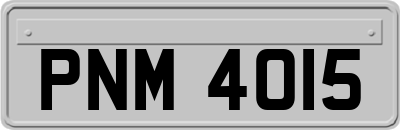 PNM4015