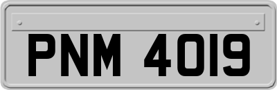PNM4019