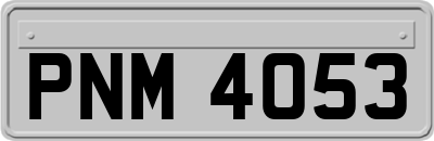PNM4053