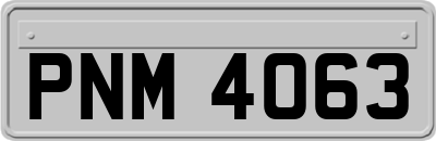 PNM4063