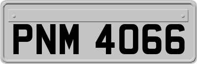 PNM4066