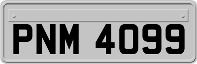 PNM4099