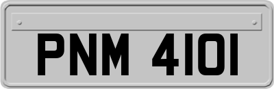 PNM4101