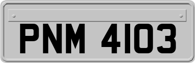 PNM4103