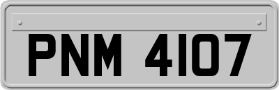 PNM4107
