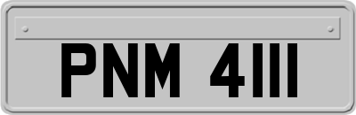 PNM4111