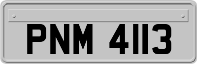 PNM4113