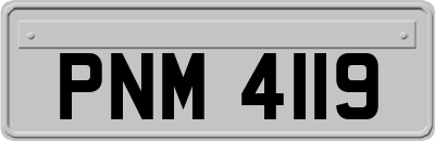 PNM4119