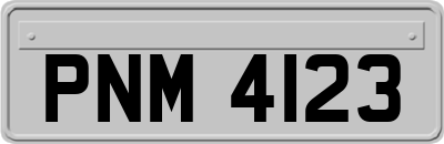 PNM4123