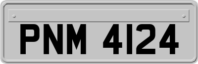 PNM4124