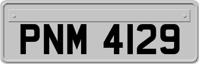 PNM4129