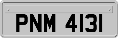 PNM4131