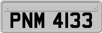 PNM4133