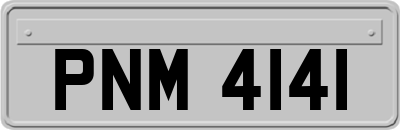 PNM4141