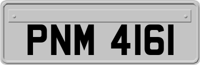 PNM4161