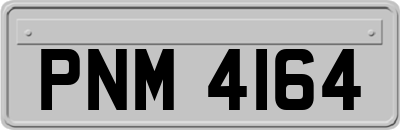 PNM4164