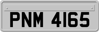 PNM4165