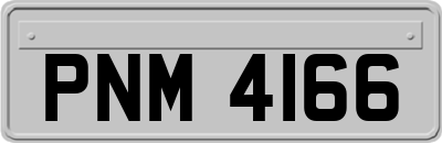 PNM4166