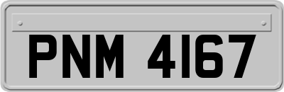 PNM4167