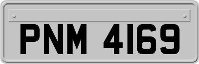 PNM4169