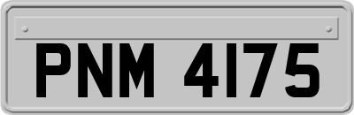PNM4175