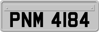 PNM4184
