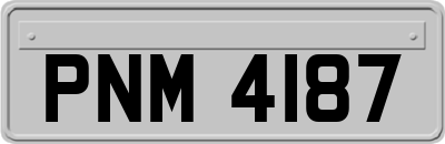 PNM4187