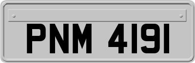 PNM4191