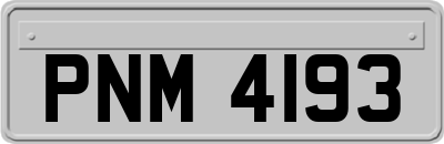 PNM4193