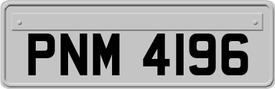 PNM4196