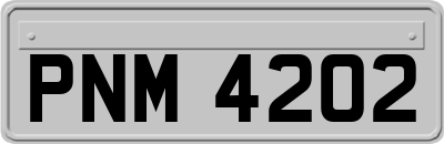 PNM4202