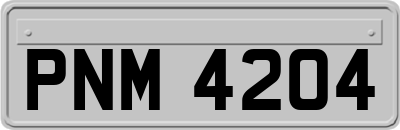 PNM4204