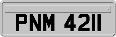 PNM4211