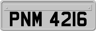 PNM4216