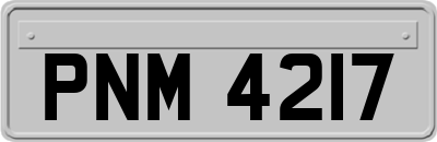 PNM4217