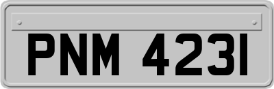 PNM4231