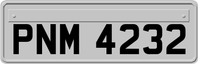 PNM4232