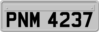 PNM4237