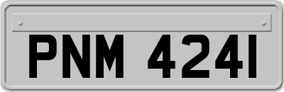 PNM4241