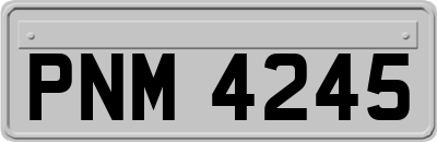 PNM4245