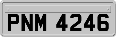 PNM4246