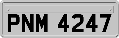 PNM4247