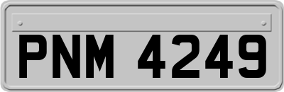 PNM4249