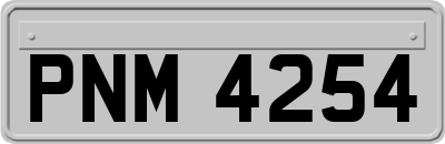 PNM4254