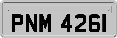 PNM4261