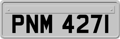 PNM4271