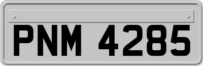 PNM4285