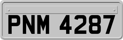PNM4287