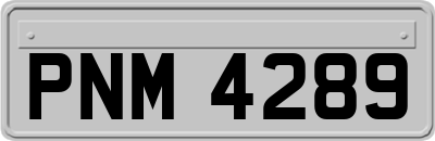 PNM4289