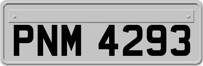 PNM4293